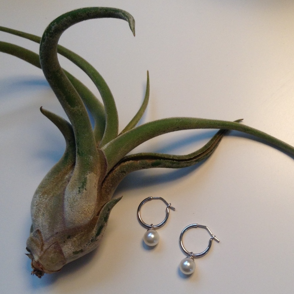 NWOT 14K White Gold & Real Pearl Hoop Earr…